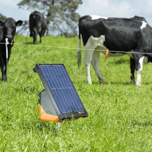 Gallagher S200 Solar Fence Charger connected and on grass