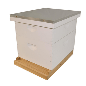 HK385 10 Frame Complete Painted Hive Apiary Kit Combo Angled View