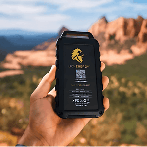 Lion Energy - Lion Cub - Label