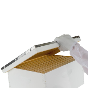 Mann Lake top view Assembled Deep Hive Kit with Plastic Wax Coated Foundation Assembled Frames with Painted Telescoping Cover