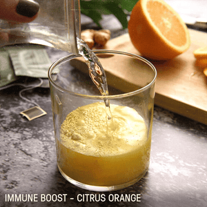 Nutrient Survival - Black Scout Survival 10-Day Emergency Food Supply