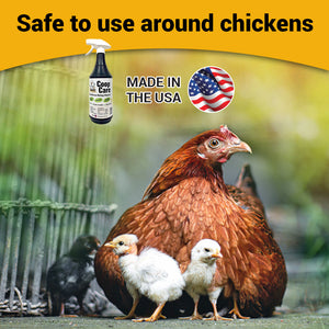 Picture of OverEZ Organic Coop Care Solution Made in the USA