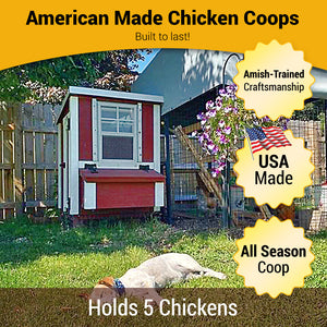 Picture of Small OverEZ Chicken Coop Assembled