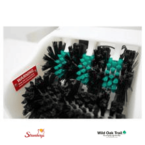 Stromberg's Little Egg Scrubber close up