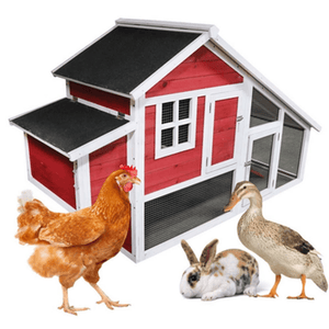 The Egg Hut - Stromberg's Chicken Coop with Run