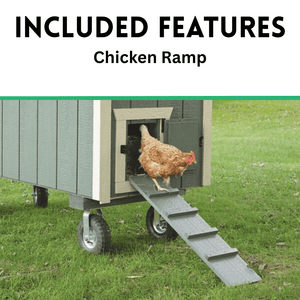 The Hen House Collection Included Chicken Ramp