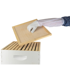 mann lake Assembled Deep Hive Kit with Plastic Wax-Coated Foundation Assembled Frames