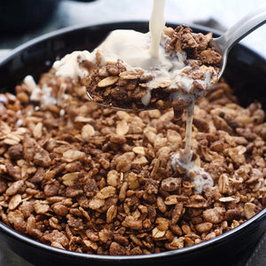 Nutrient Survival - Chocolate Grain Crunch