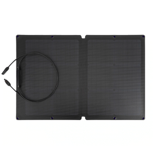 EcoFlow 60W Solar Panel