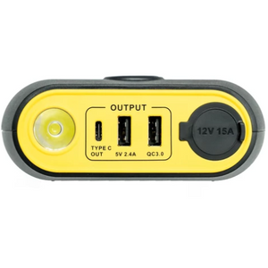 Lion Energy - Lion Cub Go