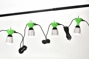 Nature's Generator-Nature's Generator Power Light - 4 Pack