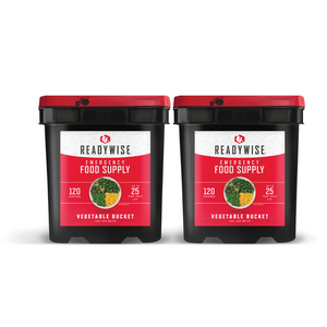 ReadyWise Emergency Food Supply - 240 Serving Freeze Dried Vegetable Bundle