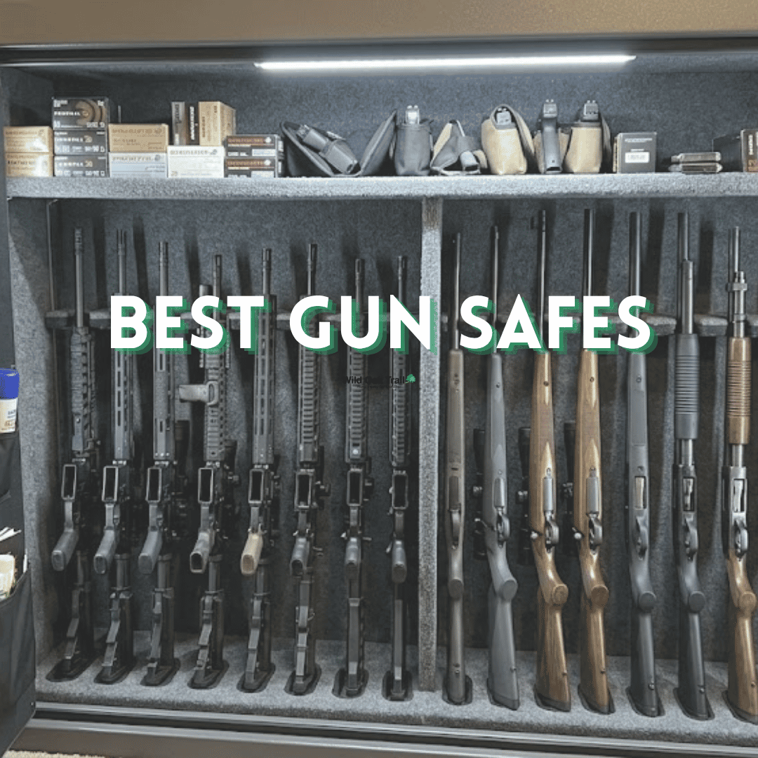Best Gun Safes