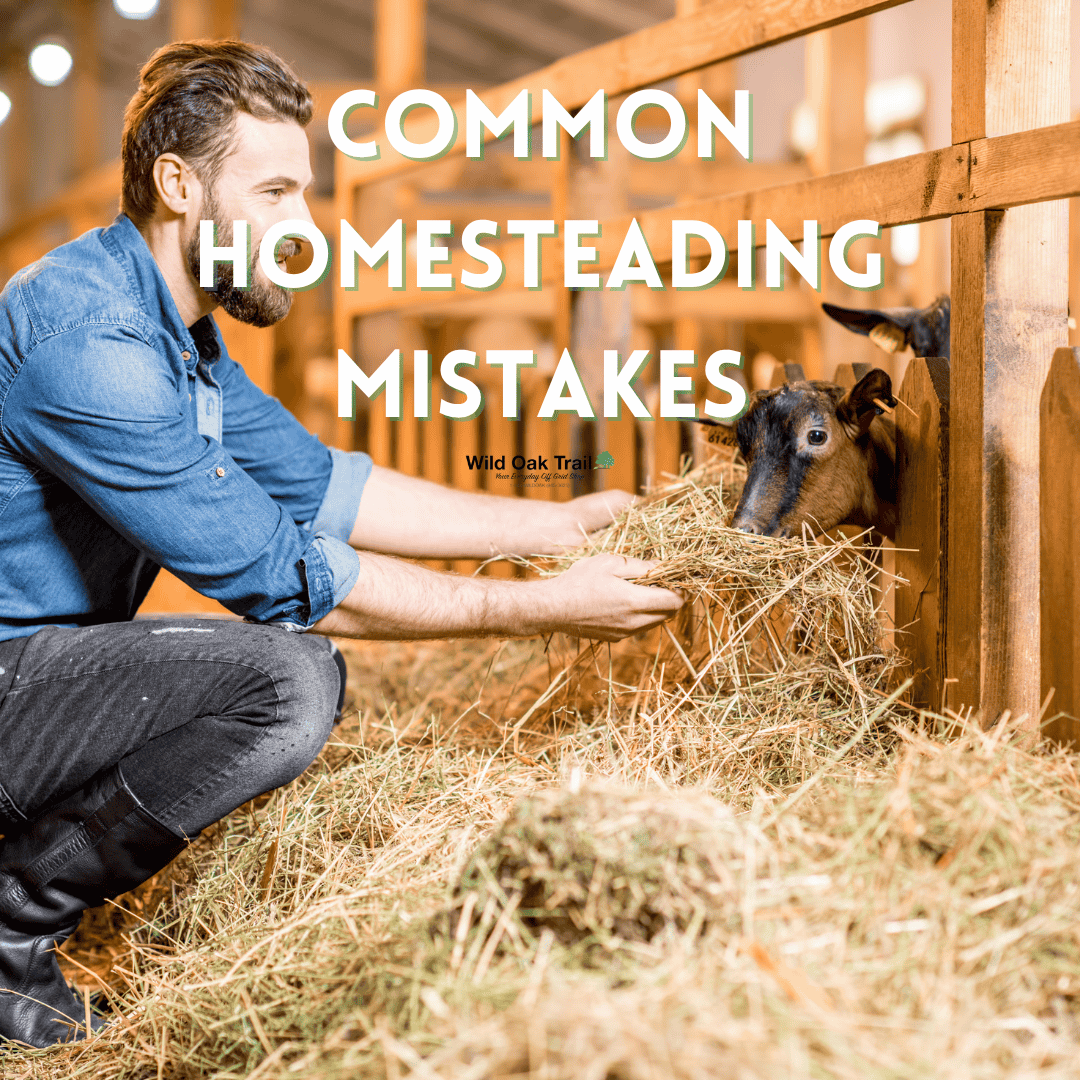 Common Homesteading Mistakes