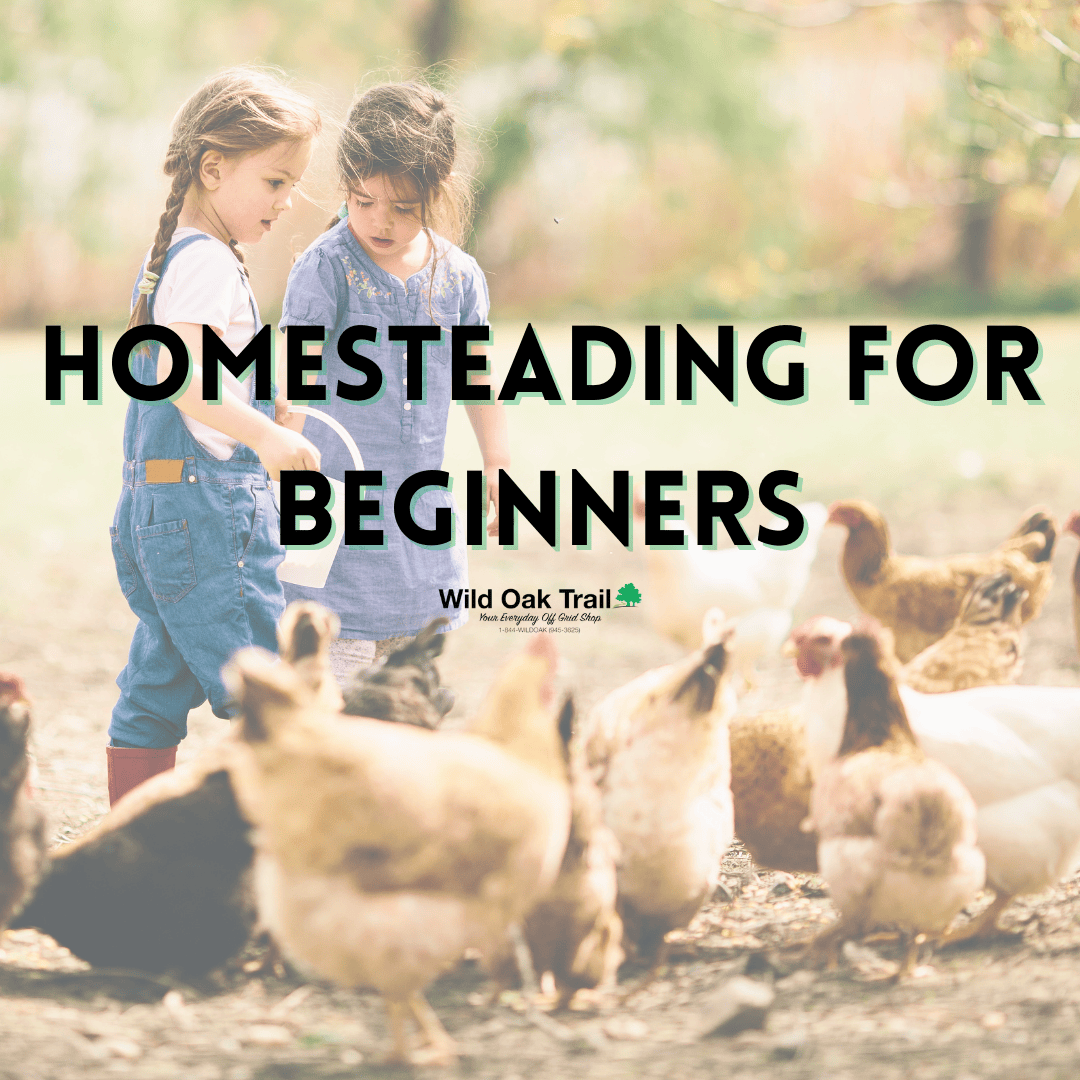 Homesteading for Beginners thumbnail