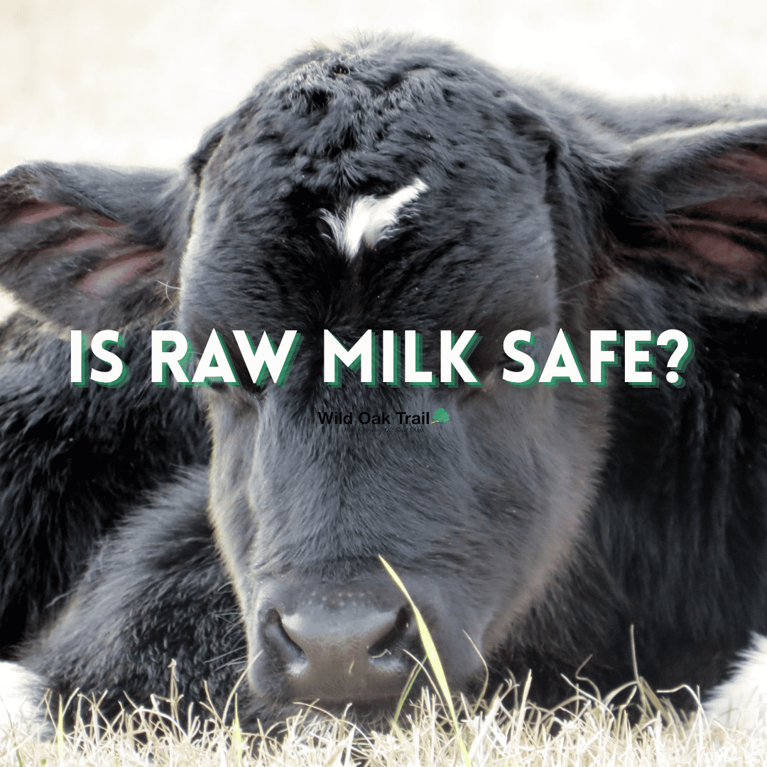 Is Raw Milk Safe?