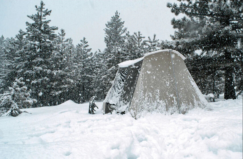 Do Cold Temperatures Affect Generator and LiFePO4 Batteries?