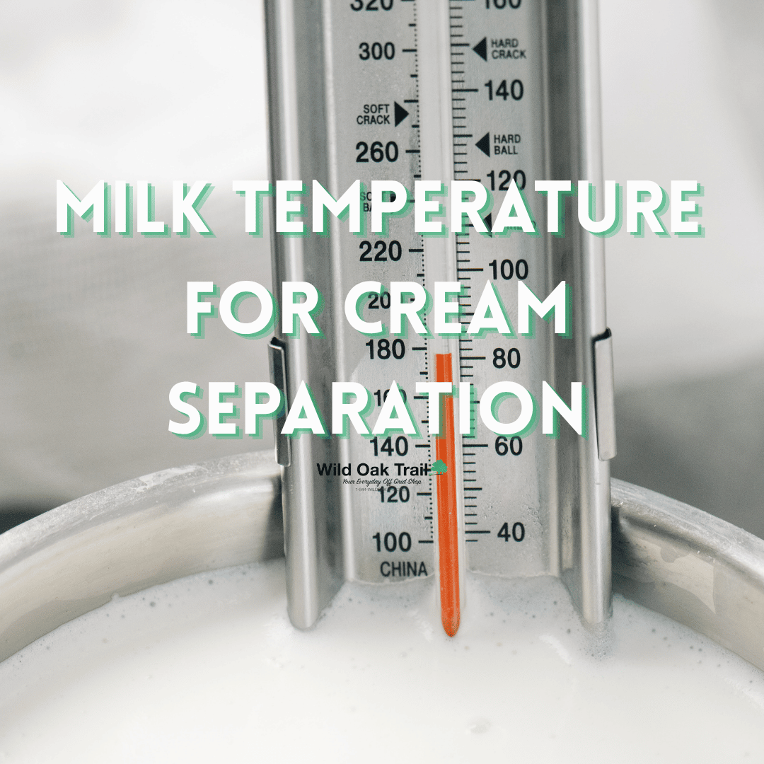 What Temperature Should Milk Be for a Cream Separator? (And Why It Matters)