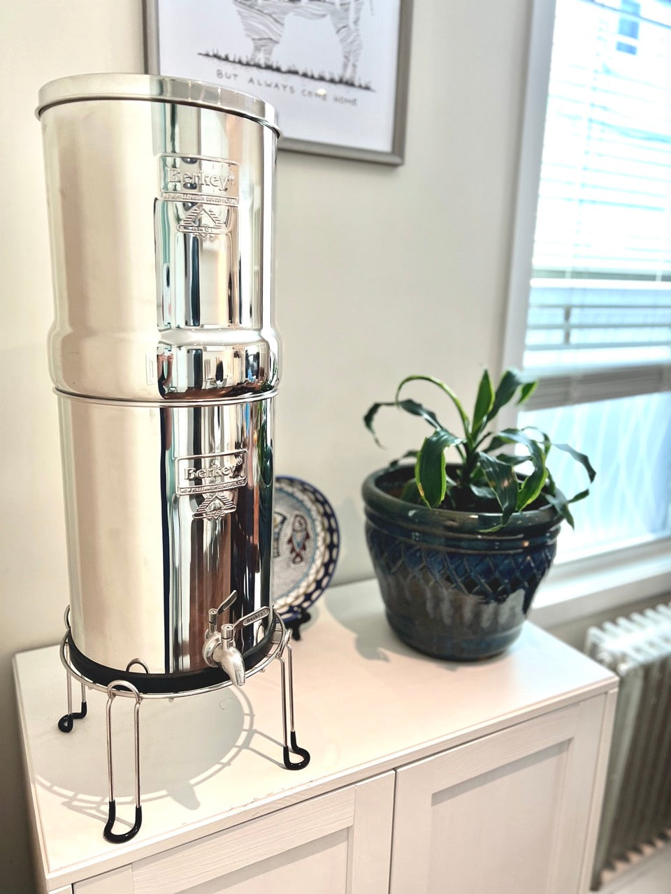 Guarding Your Health Tackling PFAS Contamination with Berkey Water Fi