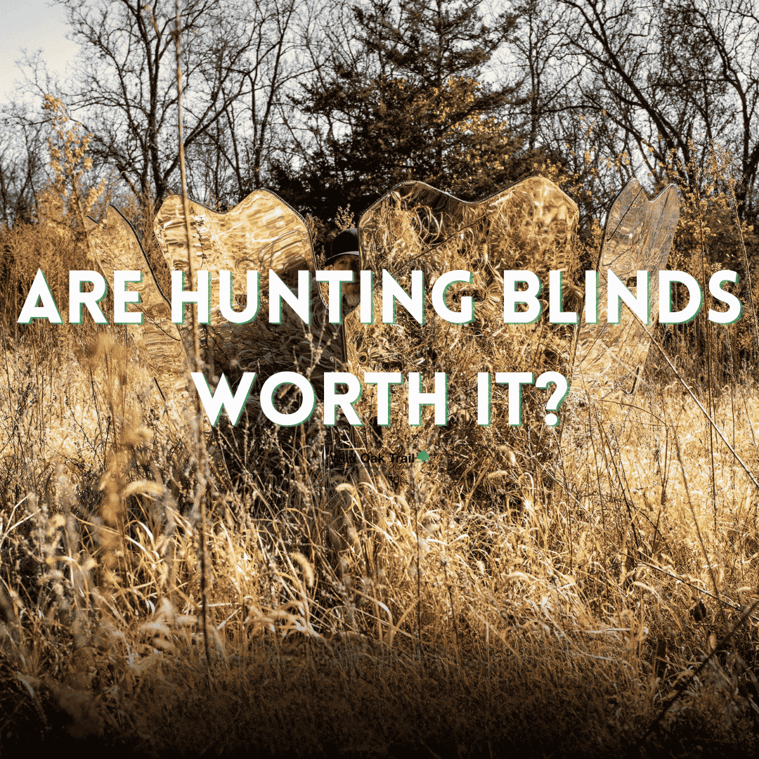 Are Hunting Blinds Worth It?