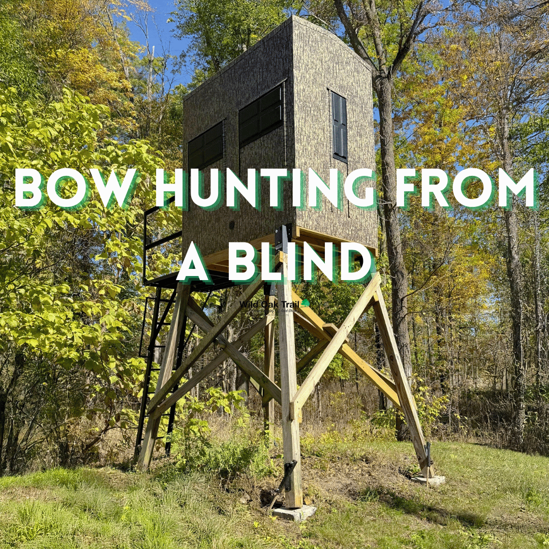 Bow Hunting From a Blind
