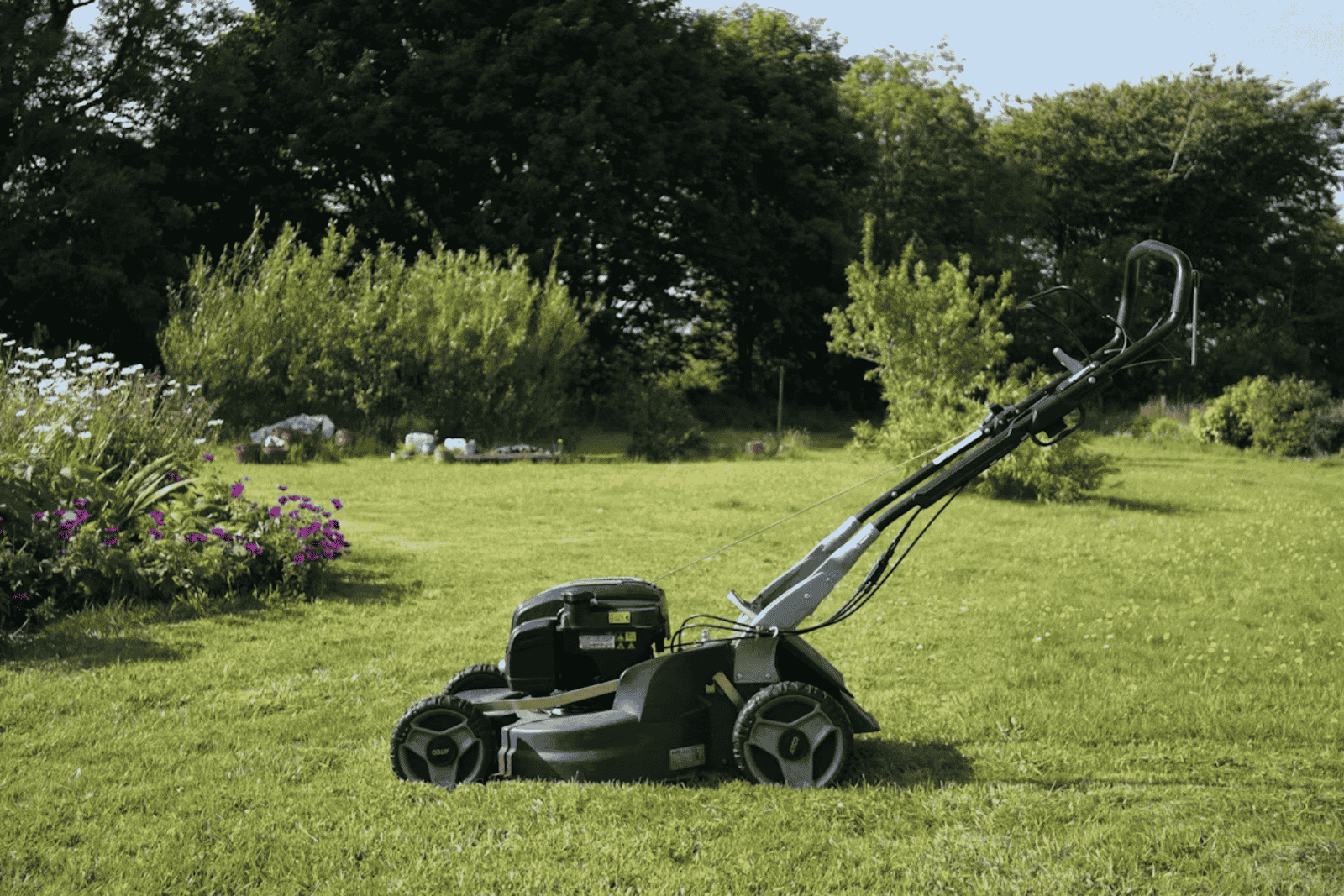 Yard Maintenance Mistakes You Should Avoid