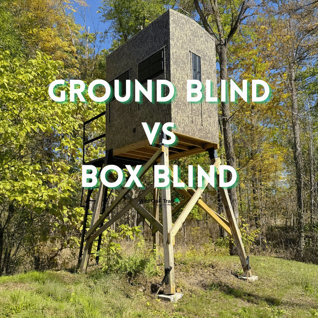 Ground Blind VS Box Blind