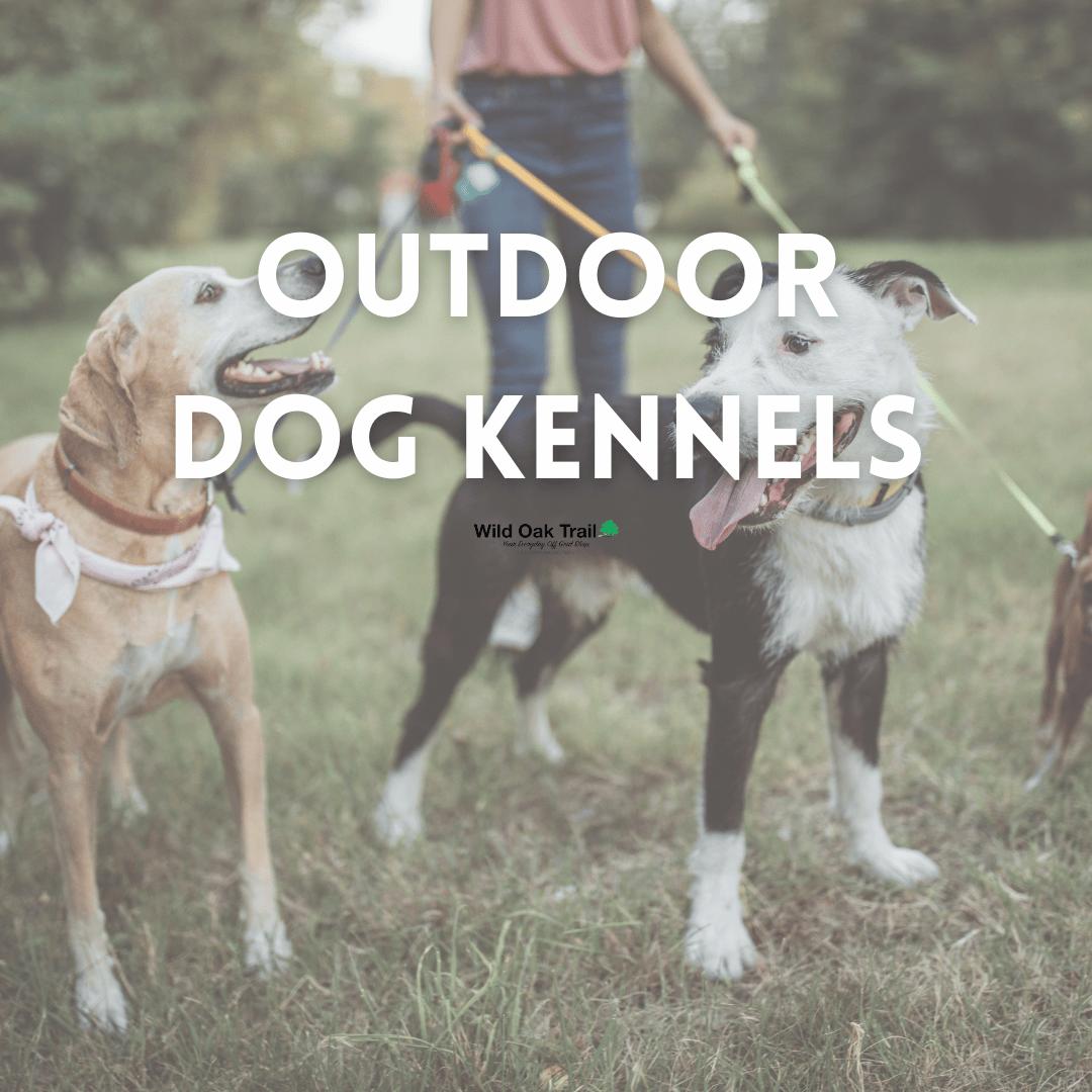 Outdoor Dog Kennels