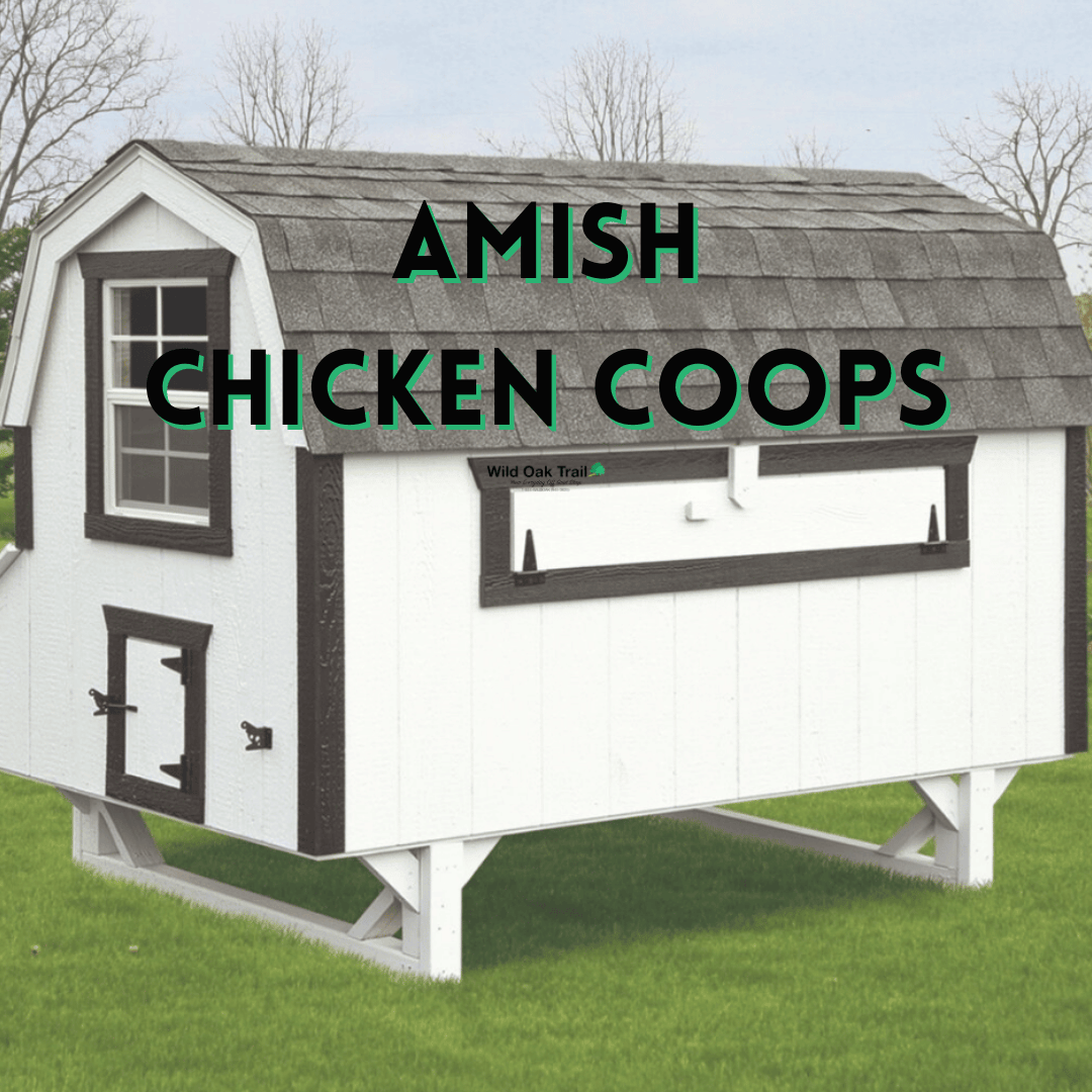 Amish Chicken Coops