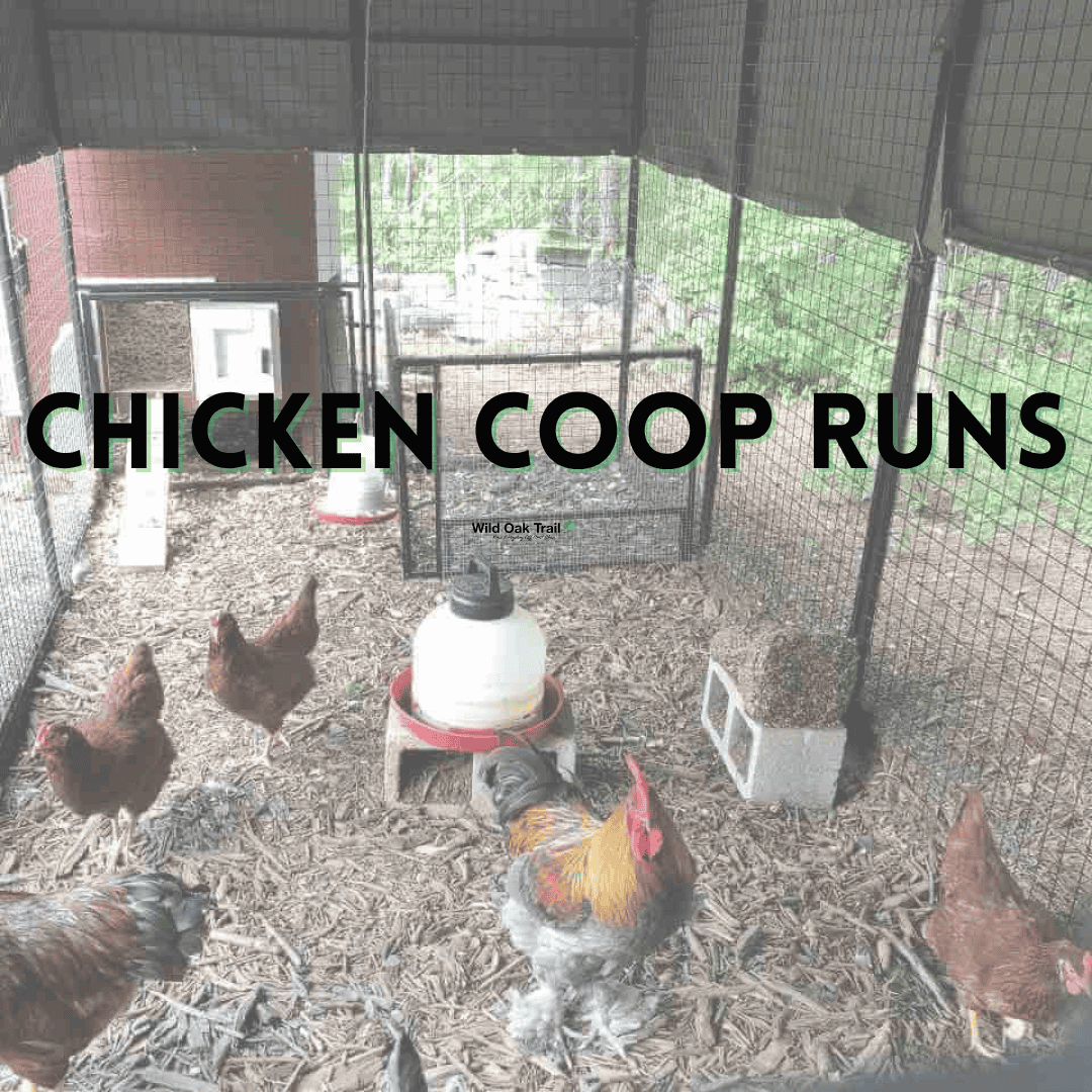 Chicken Coop Run