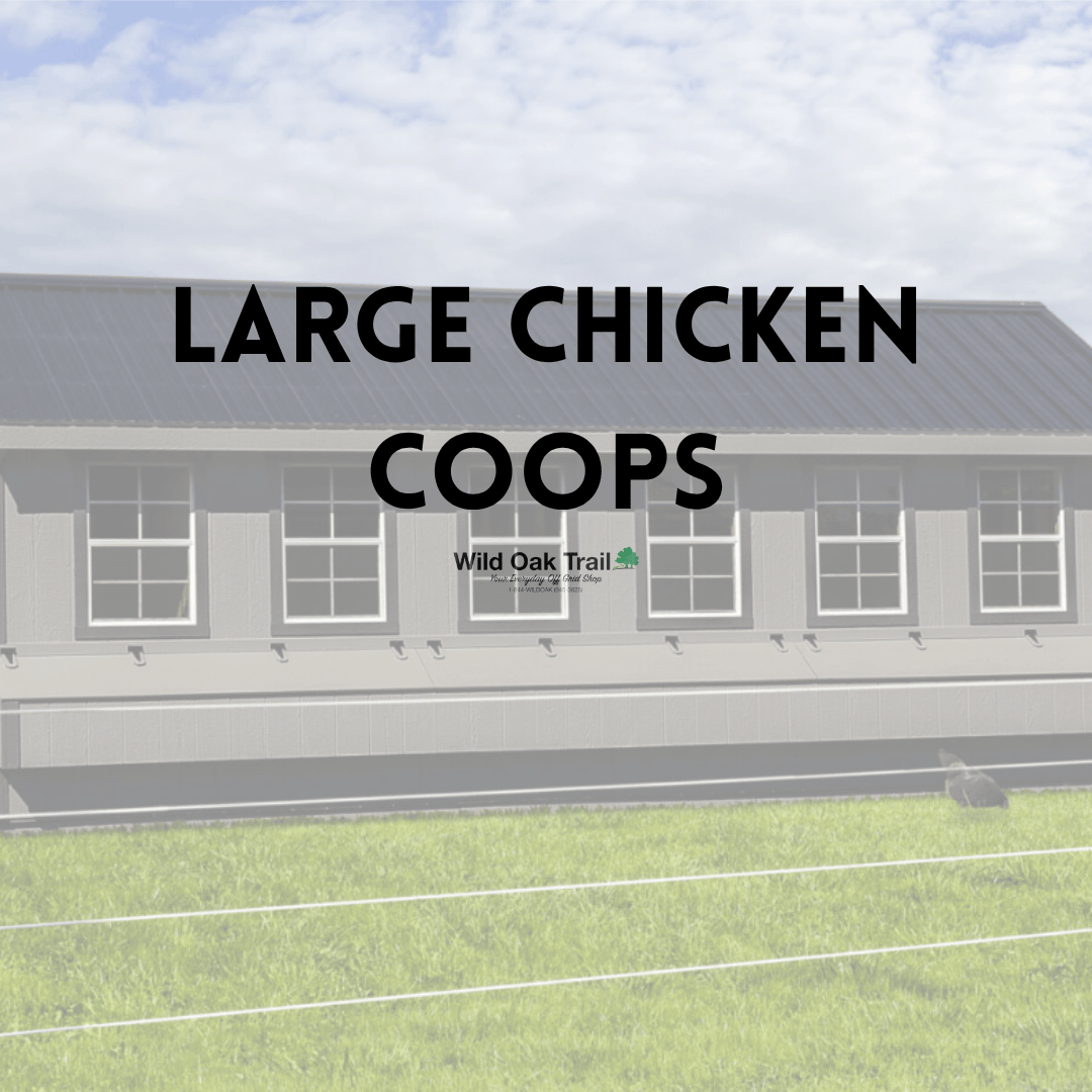 Large Chicken Coop