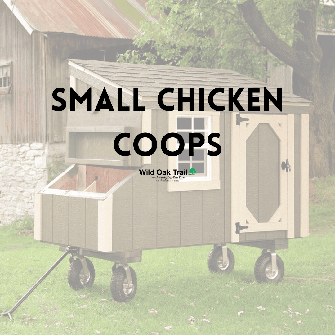 Small Chicken Coop