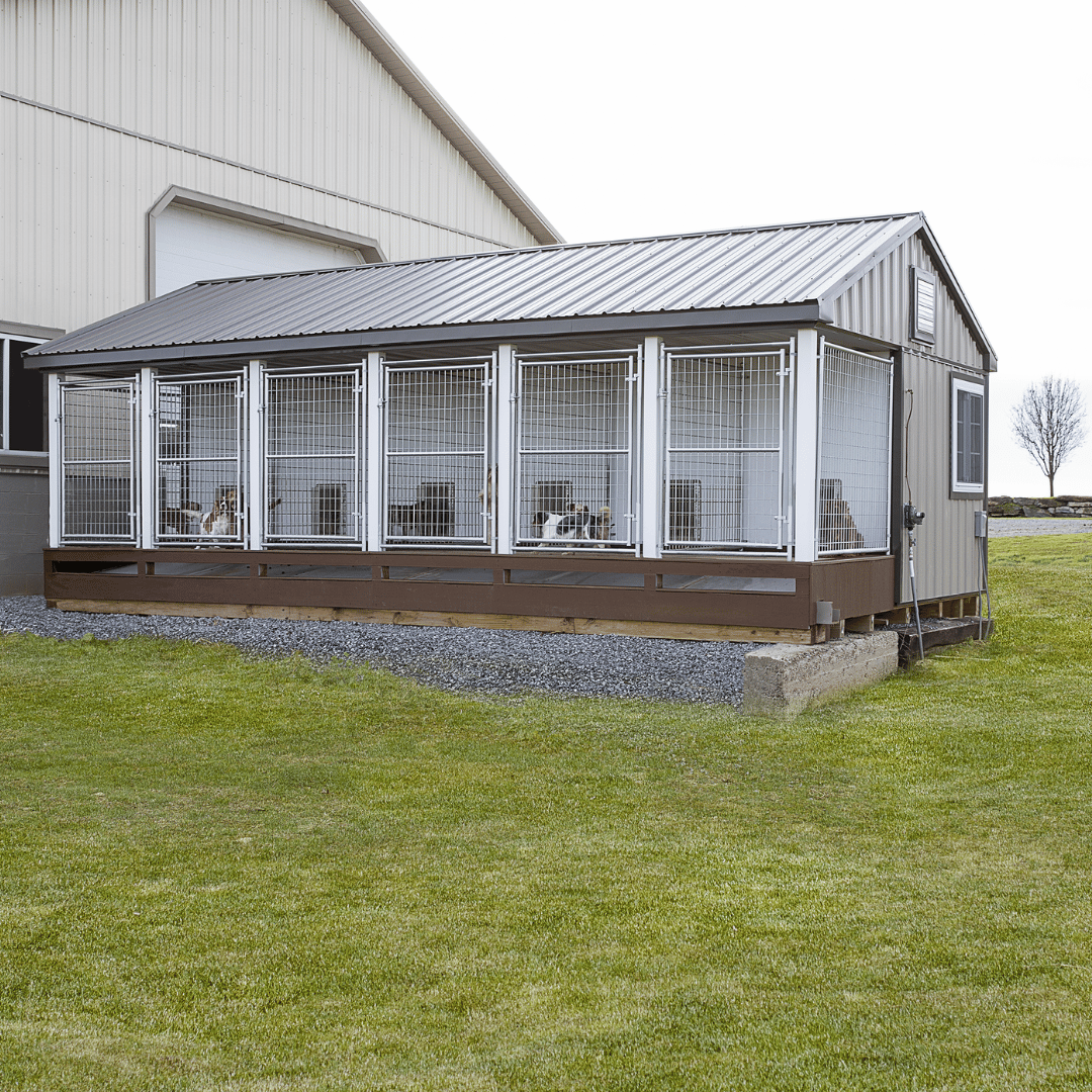 Picture of 14 x 24 Commercial Dog Kennel