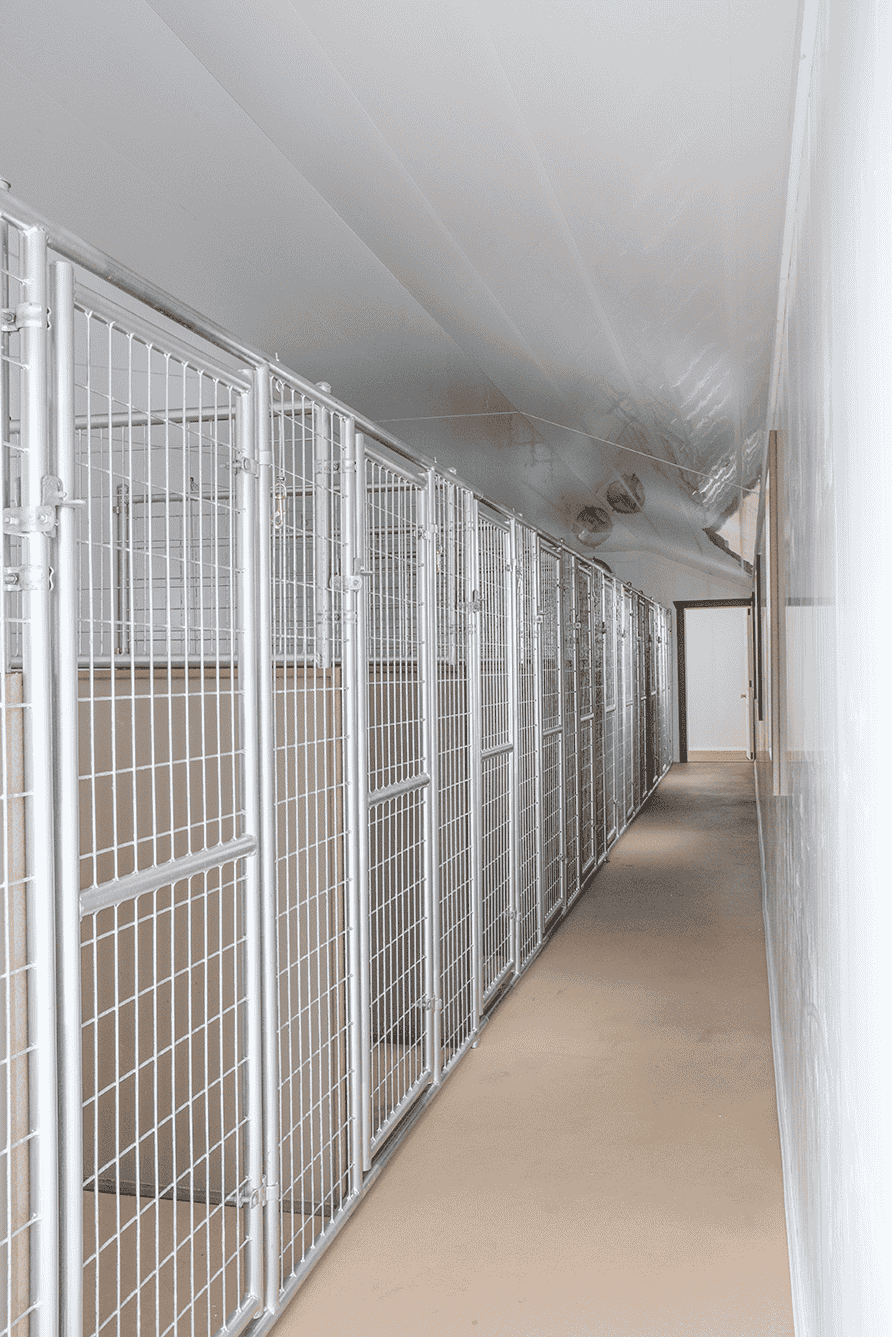 Picture of 14x54 commercial dog kennel interior 2