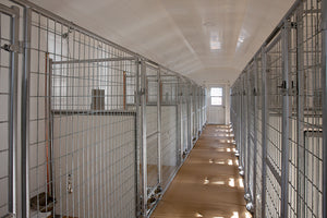 Picture of 24x60 commercial dog kennel interior 1