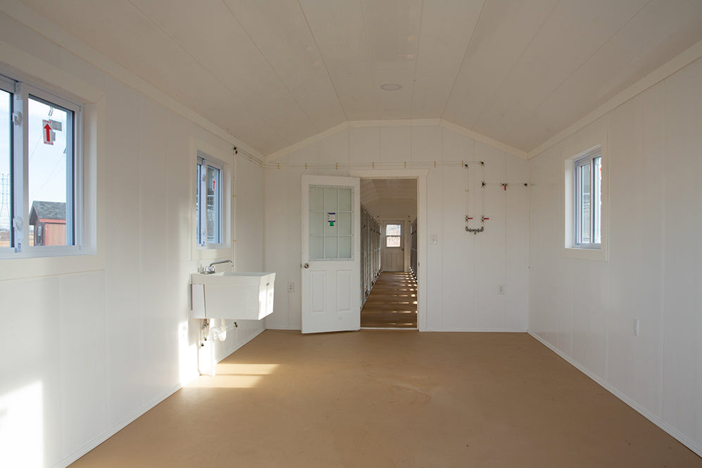 24 x 60 commercial dog kennel interior 2