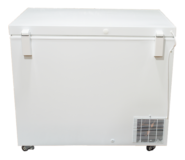 Picture of SunStar Solar 8CU Chest Freezer back