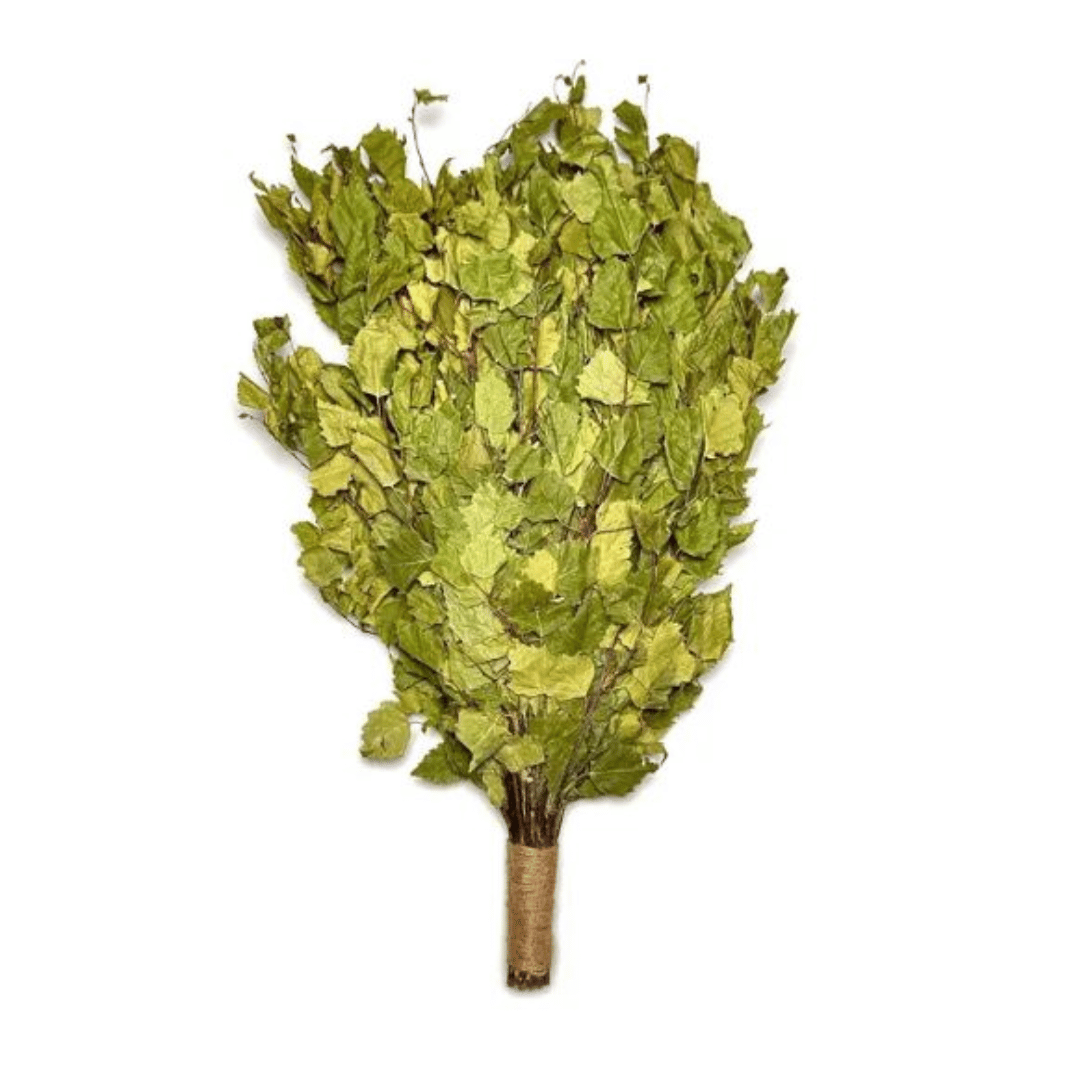 Picture of Birch Venik - Whisk