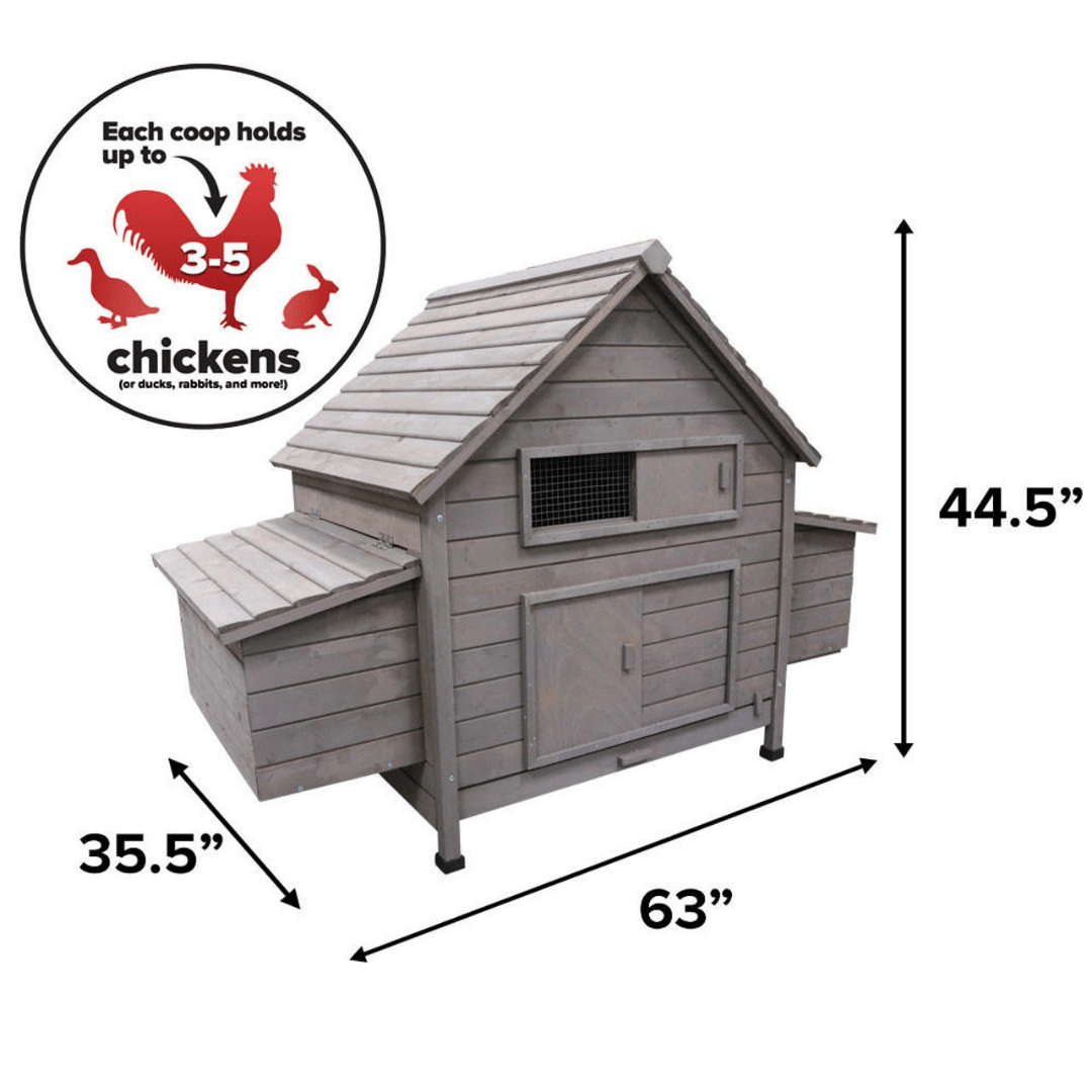 Cluck Hut - Stromberg&#39;s Chicken Coop for 5 Chickens Dimensions