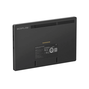 EcoFlow PowerInsight Home Energy Manager - Back