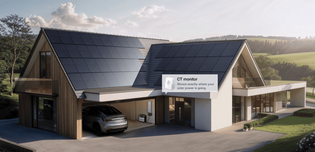 EcoFlow Delta Pro Ultra X CT monitor highlight