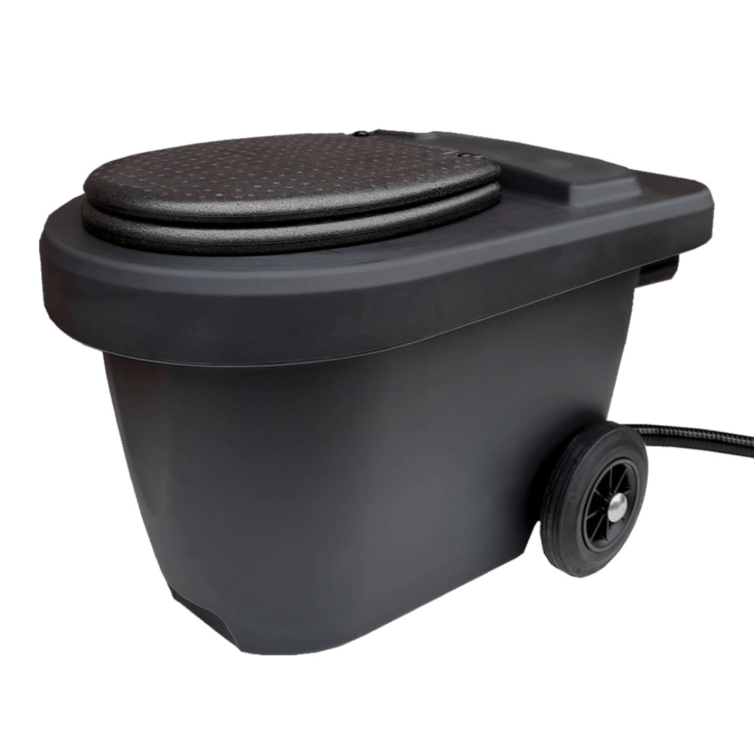 Picture of Green Toilet 100 Easy