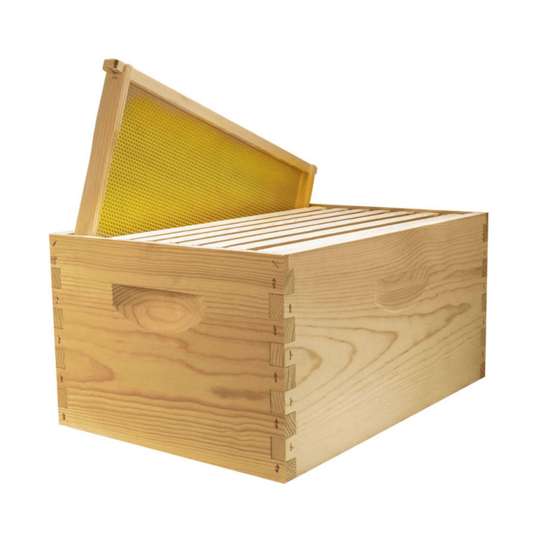 HK580 Unpainted Assembled 9 5/8&quot; Deep Hive Kit with Plastic Wax Coated Foundation and Assembled Frames