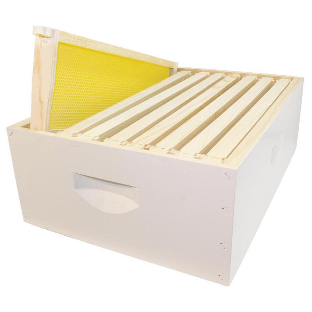 HK610 Painted Assembled 6 5/8&quot; 8 Frame Super Kit with Assembled Frames and Waxed Plastic Foundation