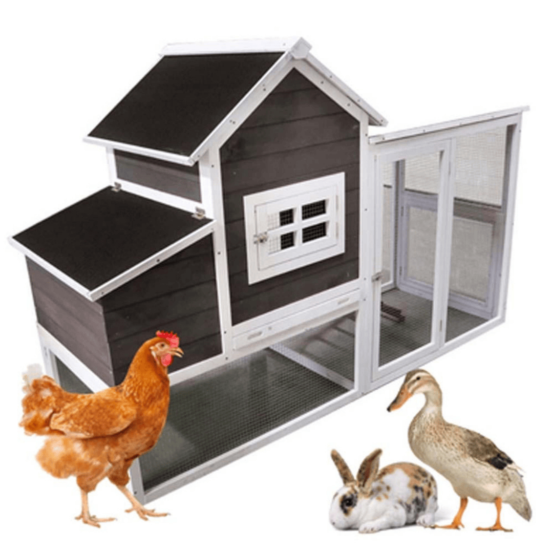 Hen House - Stromberg&#39;s Chicken Coop with Run