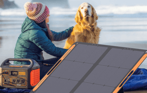 two Jackery SolarSaga 100W Solar Panels charging generator on beach