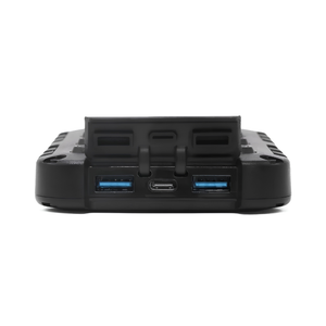Lion Energy - Lion Cub - Charging Ports