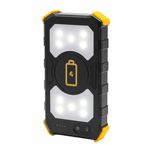 Lion Energy - Lion Prowler - Back