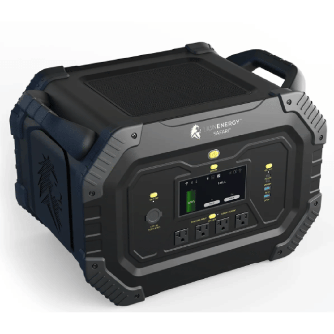 Lion Energy - Lion Safari