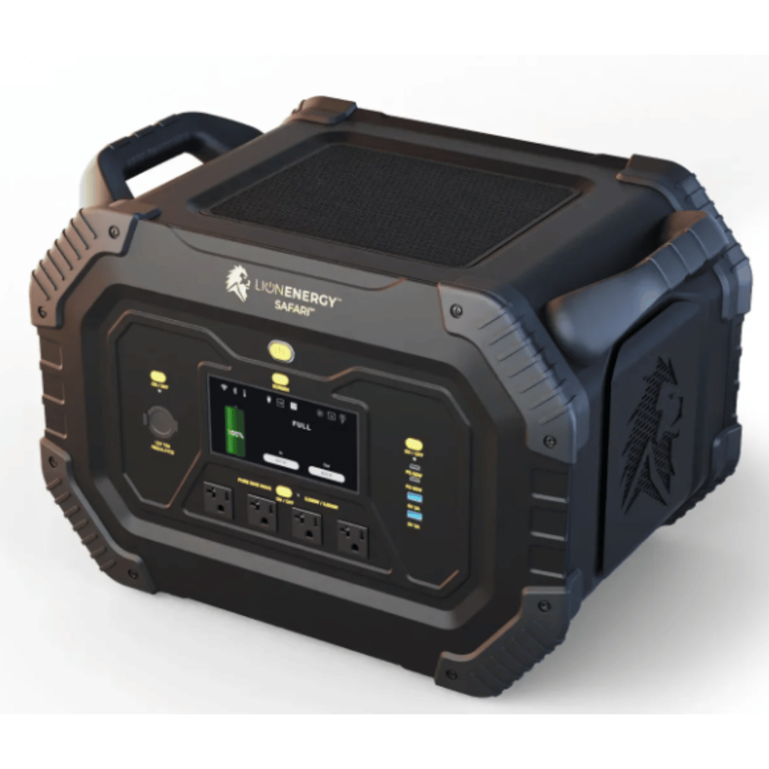 Lion Energy - Lion Safari